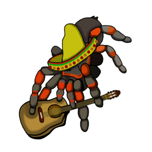 Gitáros Pedro 